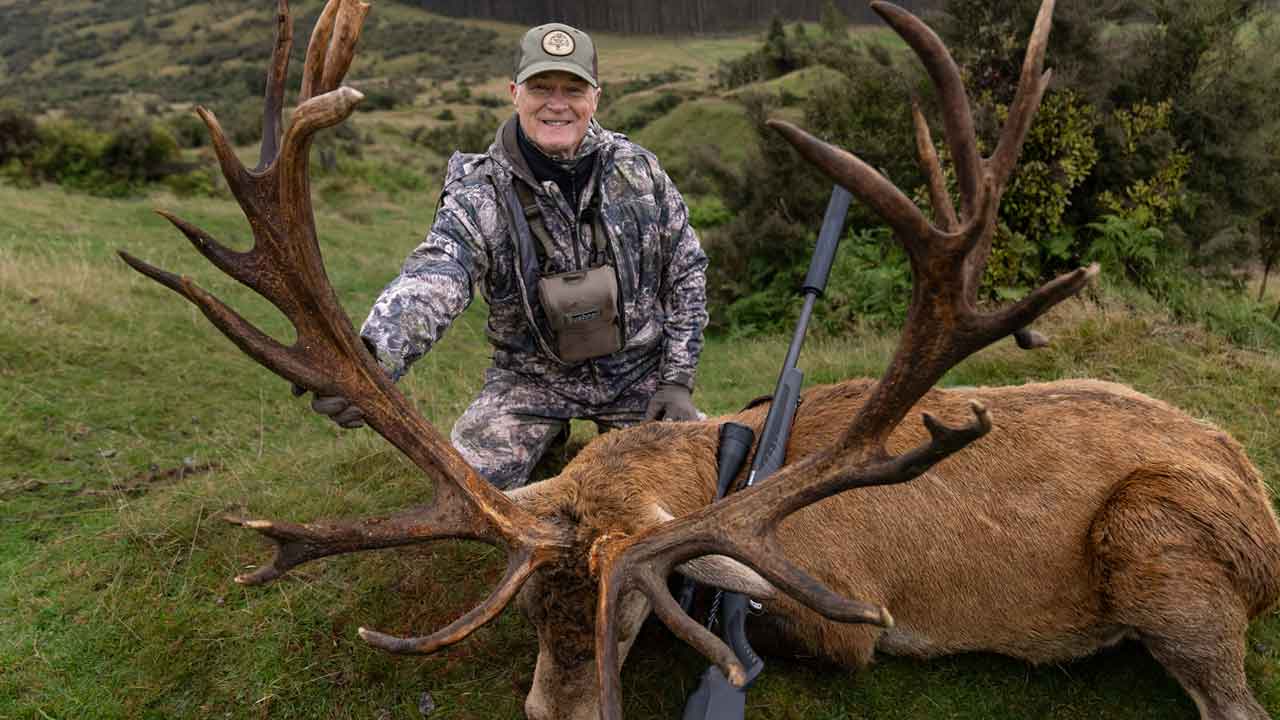 Whitetail hunting