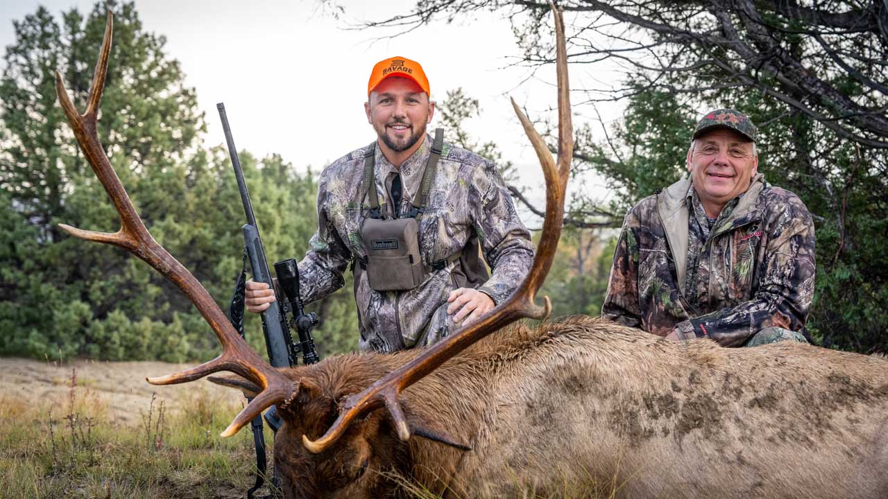 Whitetail hunt
