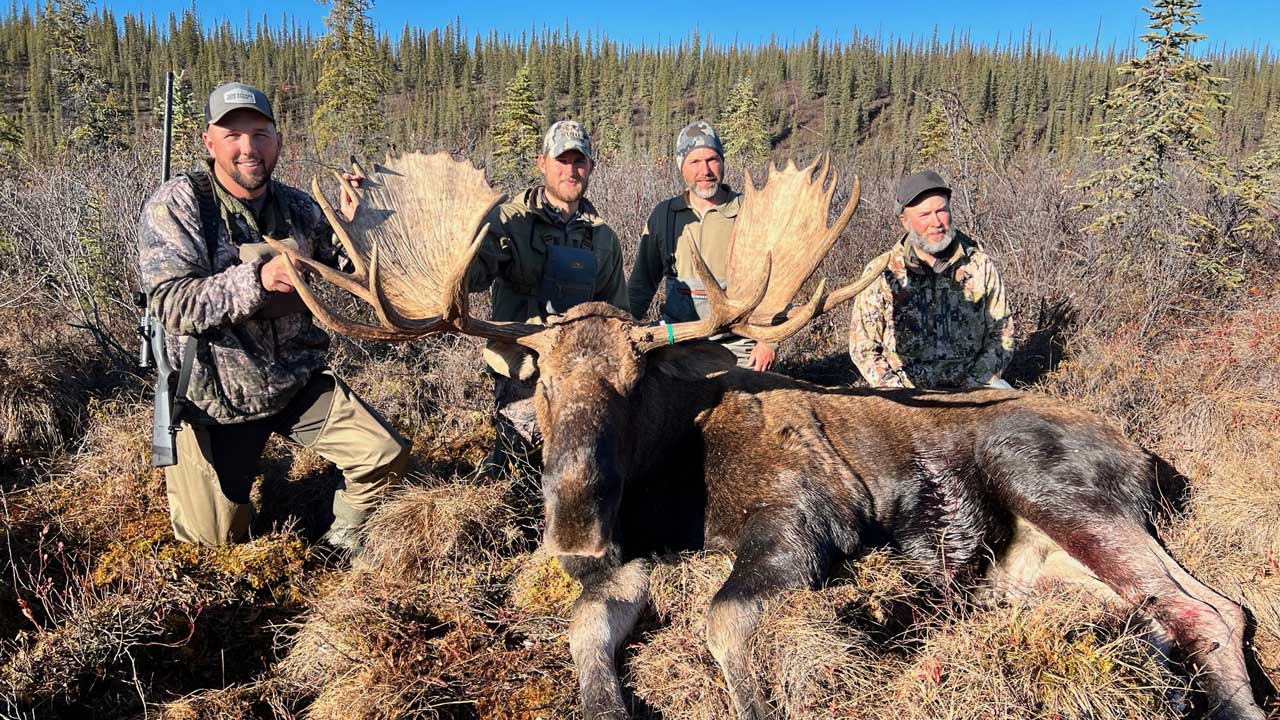 Moose hunting