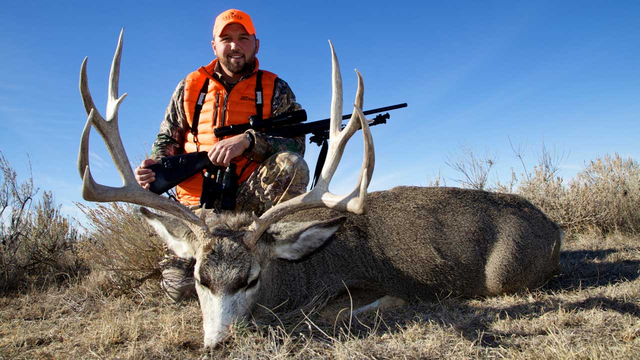 Whitetail Hunting